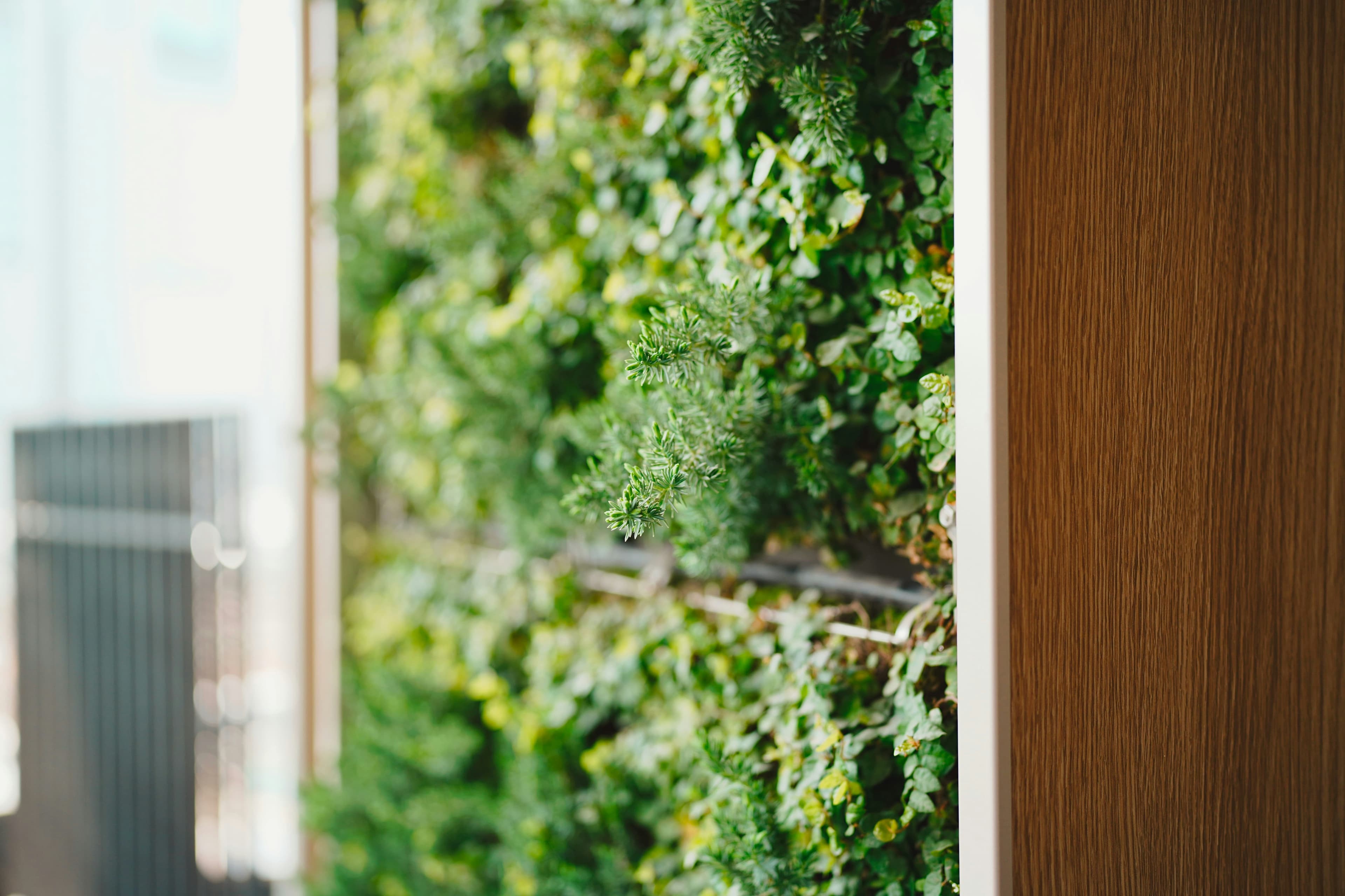 Biophilic reference 2